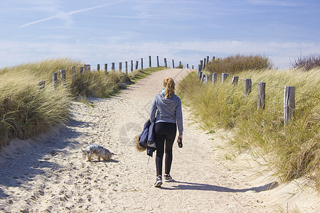 荷兰祖特兰德Zoutelande海岸地平线多云小路猎犬沙丘女孩动物闲暇青少年图片