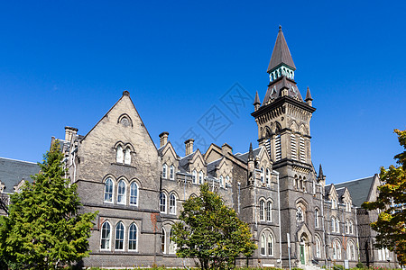 尼亚加拉加拿大多伦多秋季吸引力建筑学天空蓝色城市办公室景观天际海滩旅游背景