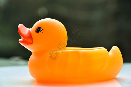 黄橡皮鸭黄色洗澡鸭子小鸭子水池乐趣浴室童年孩子塑料图片