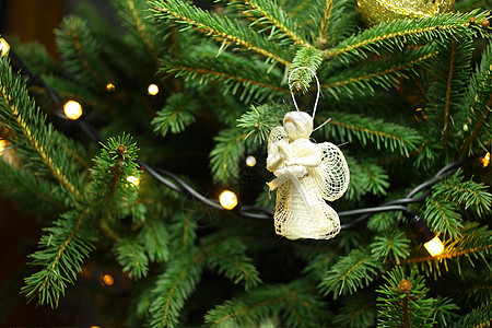 圣诞圣诞天使在圣诞节树枝上卡片绿色季节性假期松树季节白色火花庆典装饰品背景
