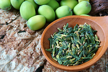 莲子茶收集莲花 种子 茶叶 健康食品收藏莲藕药品植物群荷花花草叶子莲子营养食物背景