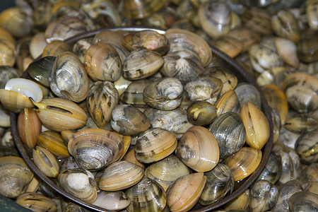 阿甘果印度果阿 印度鱼市上新鲜的兰戈拉壳壳节食海鲜团体动物餐厅营养烹饪甲壳宏观市场背景