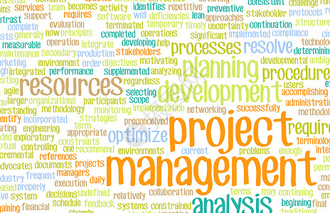 项目管理领导者组织挑战质量团队工作流程进步解决方案经理背景