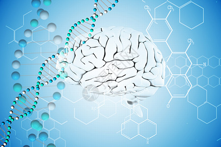 大脑综合图象智力计算机化学生物学遗传学器官生物绘图螺旋科学图片