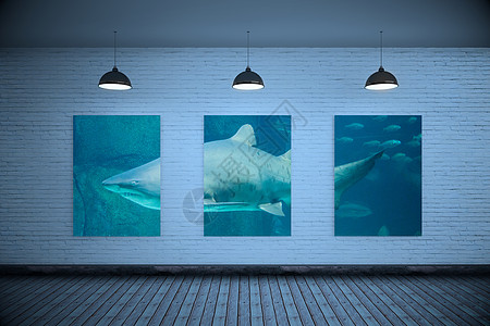 灰室复合图像海报场景牙齿鲨鱼计算机乐趣鱼缸生物学蓝色绘图图片