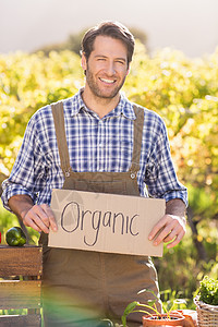 持有有机标志的微笑农民男性失速乡村闲暇绿色男人桌子农业快乐农贸市场图片