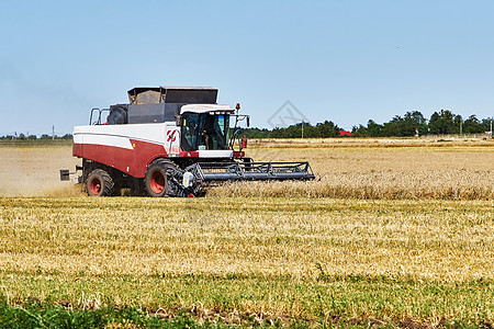 收获小麦灰尘机械技术植物谷物机器稻草收成场地工作图片