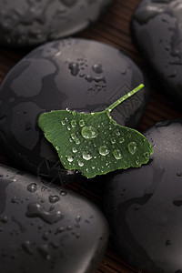 带有水滴的zen石块和ginkobiloba叶子植物群冥想反射药品银杏叶治疗禅意石头岩石福利图片