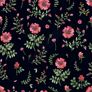 鲜花水彩图案树叶手绘绘画周年纺织品英语花园玫瑰植物群插图图片