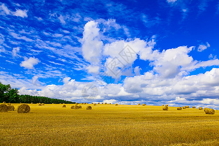 坚固场上的黄环状草条收成乡村蓝色大麦农业天空小麦圆形国家地平线图片