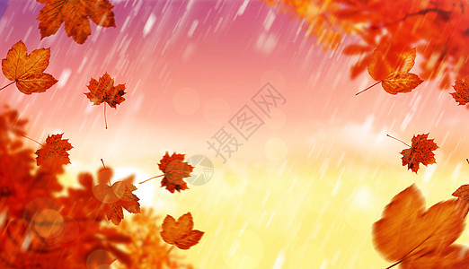 秋叶的复合图像红色黄色新月粉色金子绿色蓝色月亮树叶橙子背景图片