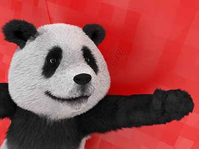 陆生动物熊猫熊原产于中国中部 眼睛周围有大片独特的黑色斑块 耳朵上方有黑色和白色的圆形身体 保护依赖的濒危物种幸福动画片文化哺乳图片