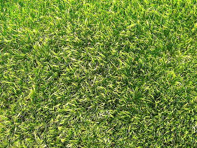 草地地毯绿草背景纹理花园地毯环境墙纸游戏院子足球季节绿色植物生长背景