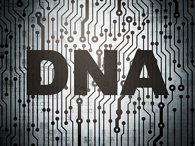 保健概念 配有DNA的电路板图片