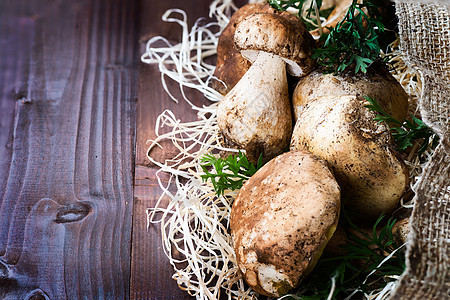 新鲜蘑菇木板蔬菜荒野菌类食物植物森林团体美食烹饪图片