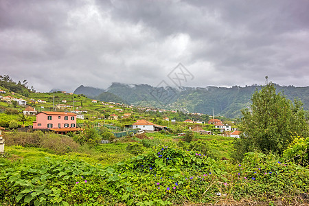 北部Faial附近的马德拉岛典型地貌农业场地小屋旅行爬坡建筑丘陵山脉风景热带图片