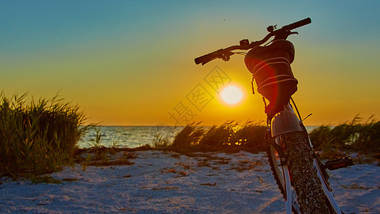 海滩骑自行车太阳行动日出乐趣海洋季节活动日落享受娱乐图片