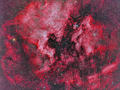 NGC 7000 北美星云图片