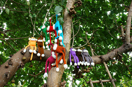 编织猴子 符号2016年 猴子年人群团体玩具家庭印象针织农历树干猴年爱好背景图片
