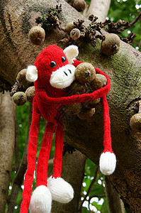编织猴子 符号2016年 猴子年玩具印象场景人群新年树干家庭针织爱好猴年背景图片
