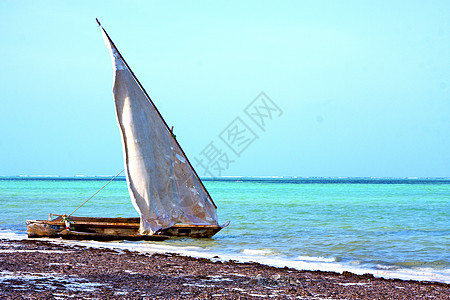 桑给巴尔海滩海草印地安洋帆图片