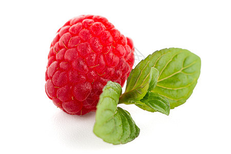 草莓和树叶矿物叶子草本植物甜点药品治疗饮食水果果汁浆果图片