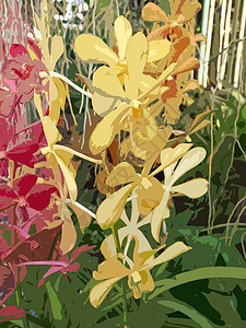 油画花紫色绿色植物群植物艺术季节草药野花水彩粉色背景图片