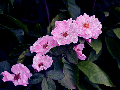 油画花紫色粉色草地野花水彩绘画植物花瓣荒野草药背景图片