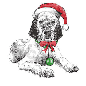 带有圣诞帽子的英语设置器新年小狗问候语礼物绘画享受假期朋友手绘动物图片