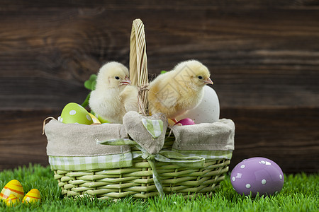 复活节有鸡蛋的桶子 年轻的东边小鸡兔子食物庆典木头绿色装饰假期篮子季节礼物图片