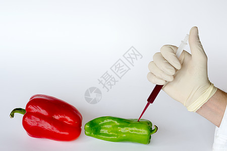 辣椒吸管蔬菜编辑化学品注射器遗传学注射工程生物科学图片