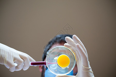 科学家对鸡蛋施肥图片
