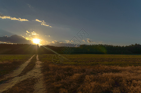 云阴影美丽地平线荒野植物风景海洋公园橙子场地高清图片