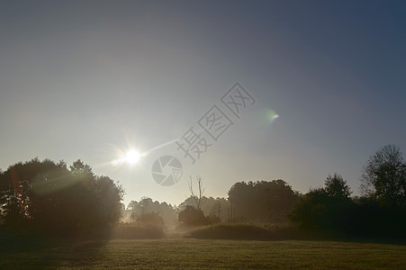 阳光树云环境森林地平线公园太阳旅行荒野蓝色美丽场地背景