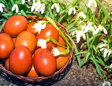 复活节的鸡蛋在篮子和雪滴里季节装饰品绿色花朵宗教白色草地季节性装饰庆典图片