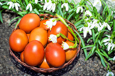 复活节的鸡蛋在篮子和雪滴里宏观红色宗教装饰装饰品花园季节性礼物草地季节图片