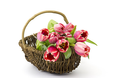 篮子中的红色郁金香季节植物群礼物花束周年快乐植物叶子问候语庆典图片