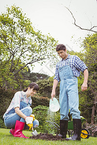 年轻夫妇在给小树苗浇水种植栽培庄稼快乐收成男性环境工具植物夫妻图片