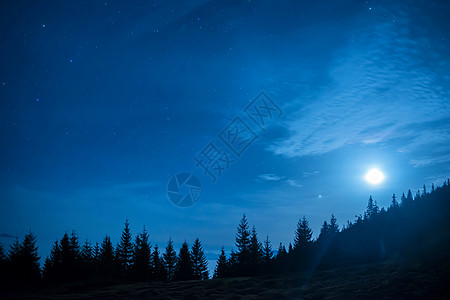 月月下松树林和蓝色夜空火花宇宙木头星云月亮星光墙纸银河系天空星系图片