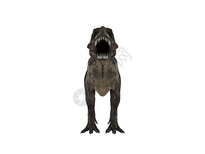 白色雄鹿内的恐龙的 3d 渲染化石蜥蜴灭绝动物怪物科学捕食者攻击力量插图图片