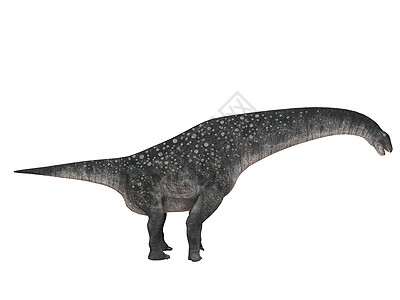 白色雄鹿内的恐龙的 3d 渲染牙齿皮肤蜥蜴生物动物化石灭绝科学插图捕食者图片