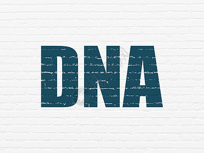 背景墙上的健康概念 DNA科学绘画医院制药生活药店医生治疗化学公司图片
