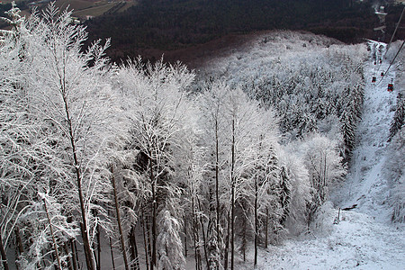 下雪下的冬季风景树美丽滑雪阴影天空场景蓝色运动云杉气候地形图片