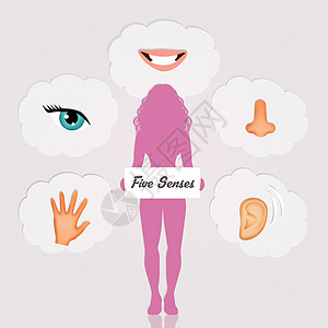 5 个感官插图眼睛药品鼻子听力女性女士女孩身体耳朵背景图片