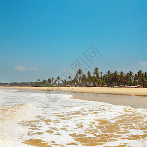 GOA 海岸景观旅行蓝色泡沫支撑晴天椰子天空旅游热带天堂图片