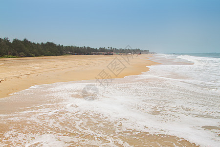 GOA 海岸景观泡沫海滩假期旅游蓝色天堂村庄椰子太阳旅行图片