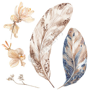 Booho 风格水彩花纹和植物图片