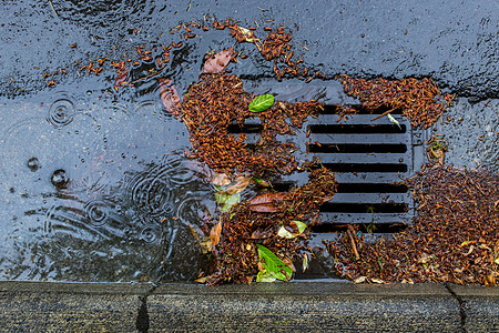 暴风雨中的排水沟红色城市黄色金属路面网格棕色季节性树叶碎片图片