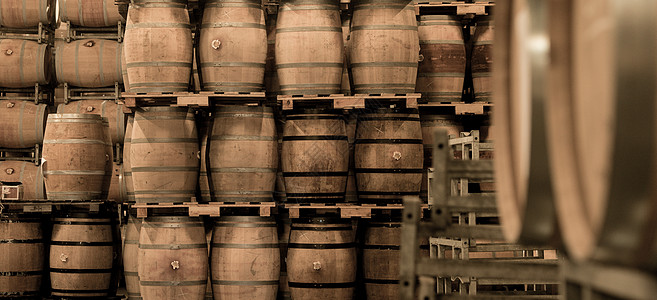 波尔多葡萄园地窖里堆满的酒桶旅游质量控制材质电脑酒商男士葡萄园酒窖酿酒玻璃图片