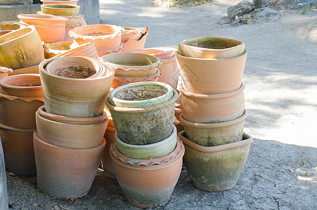 Clay花盆 有生长苗圃的树苗陶器装饰风格土制地面橙子黏土植物白色花瓶图片